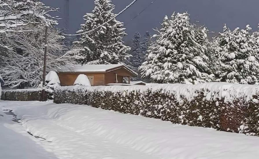 Chalet Du Spiemont Champdray Exterior foto